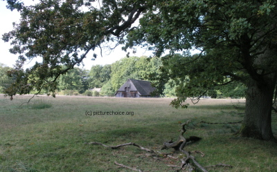 Wilsede L&uuml;neburger Heide Niedersachsen Deutschland